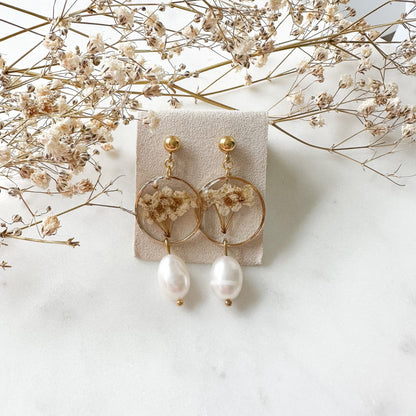 Trockenblumen Ohrringe mit echter Süßwasserperle "Schleierkraut"